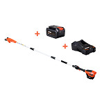 IMG PODADORA ALTURA DPPF-310 + PACK BATERIA 2Ah E CARREGADOR